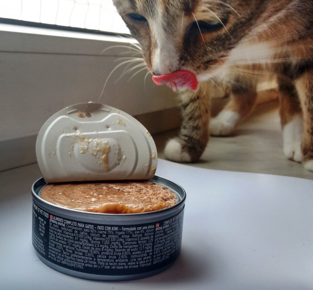 Alpha spirit puszka kaczka