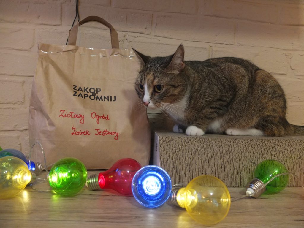 ZAKOP I ZAPOMNIJ ziołowy ogród