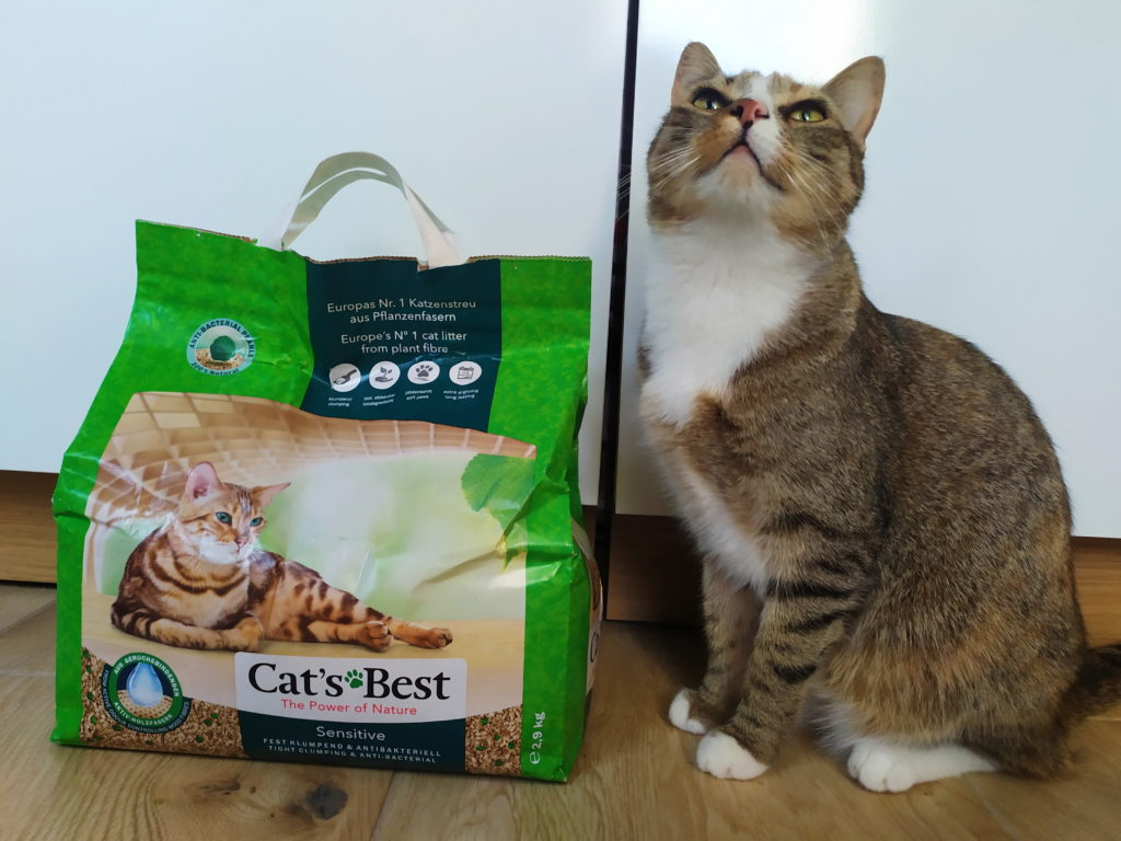 cats best kotuszkowo