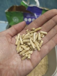 cats best smart pellets z bliska