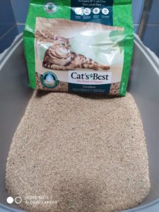 Cat's best sensitive