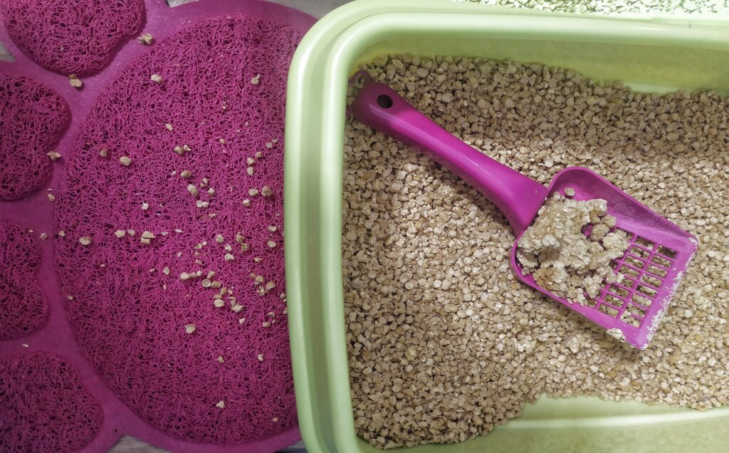 Animax Cats zbrylanie