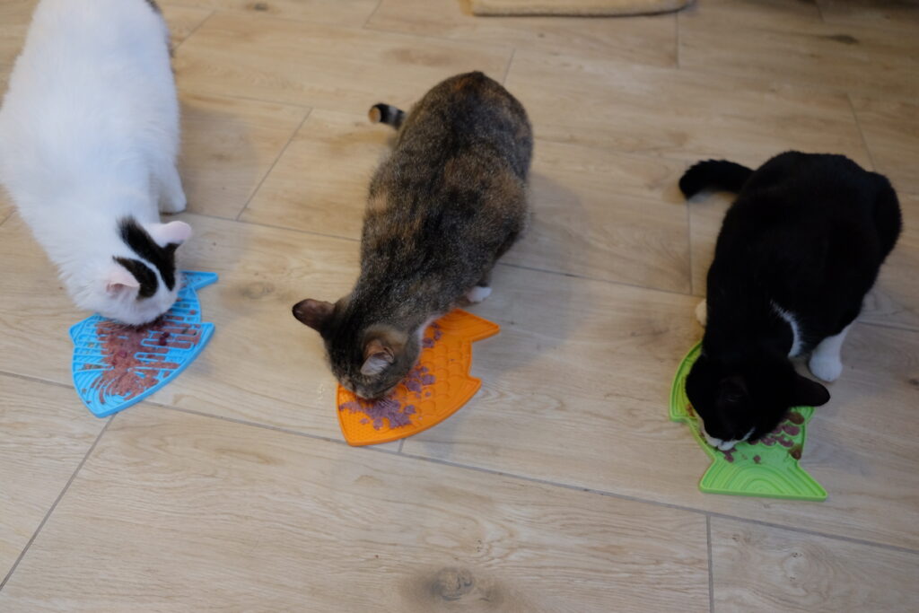 Obrazek posiada pusty atrybut alt; plik o nazwie pusty-mały.png