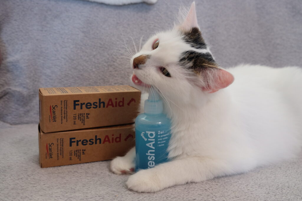 ScanVet do jamy ustnej