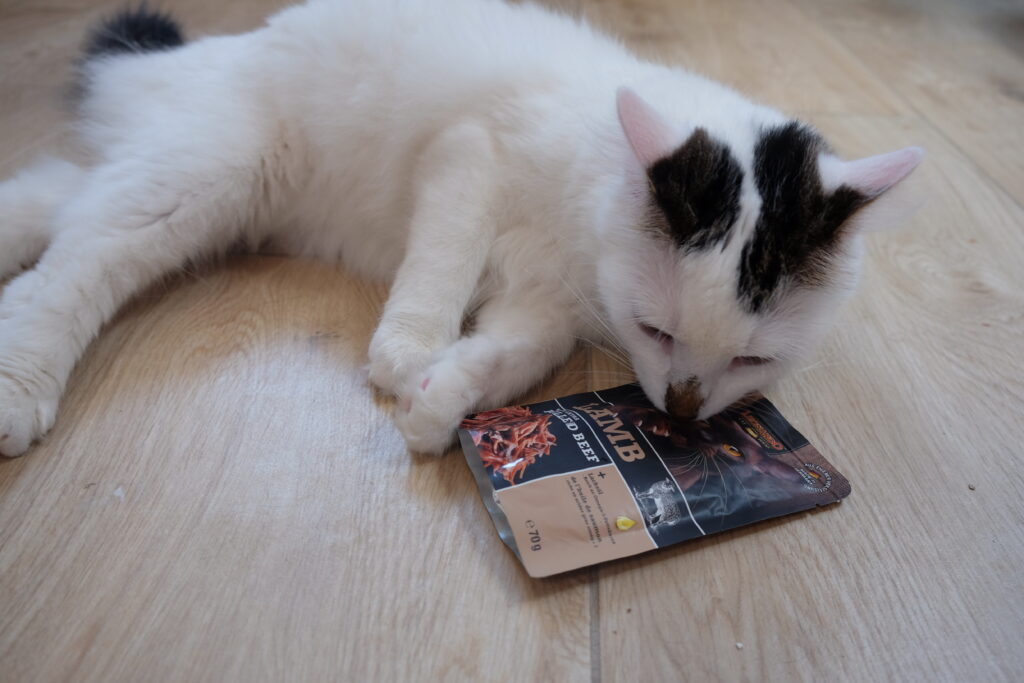 Leonardo Pulled Beef