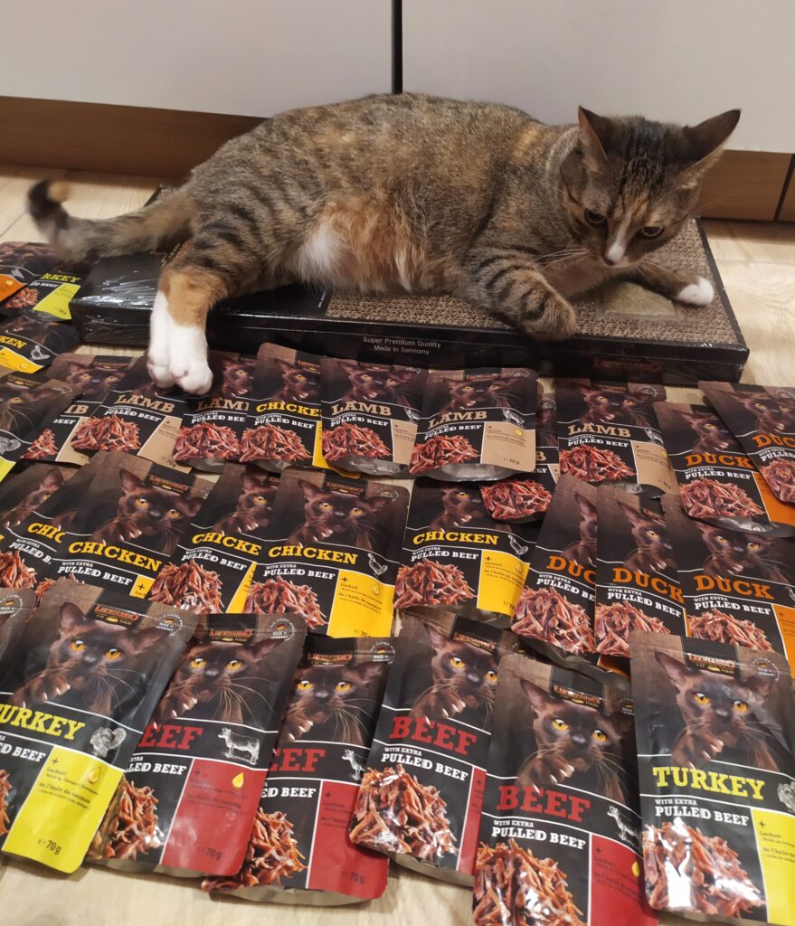 Leonardo Pulled Beef