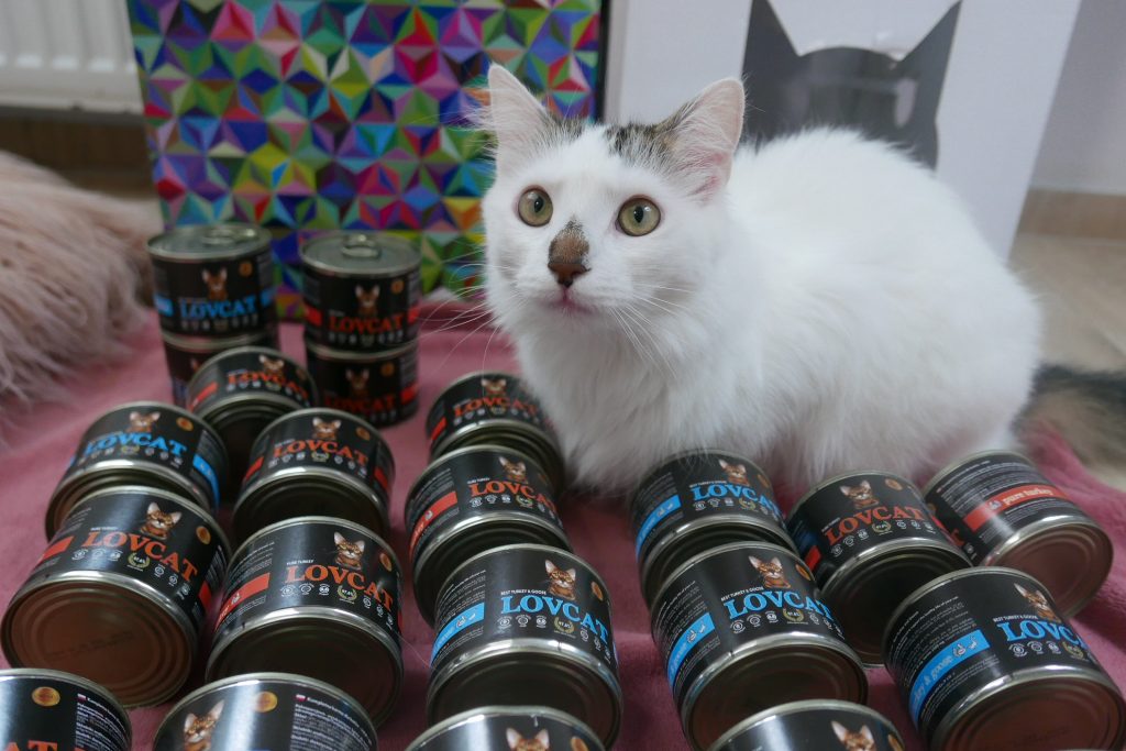 lovcat indyk
