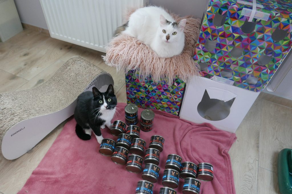 lovcat indyk gęś
